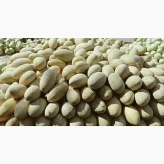 خرید خربزه مشهدی خشک طعمی شیرین از دل تابستان
